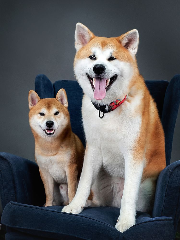 Photograph by Виктория Фоминых