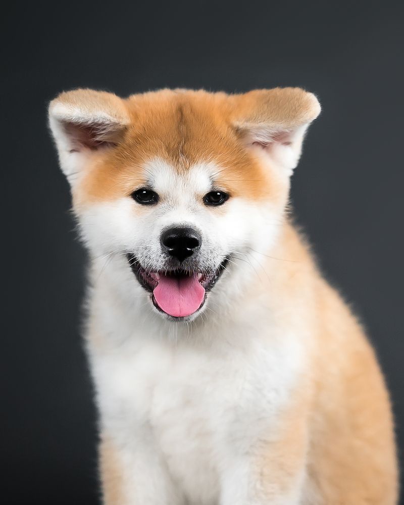 Photograph by Виктория Фоминых