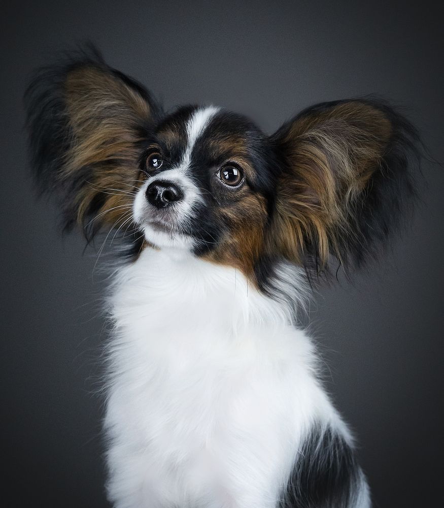 Photograph by Виктория Фоминых