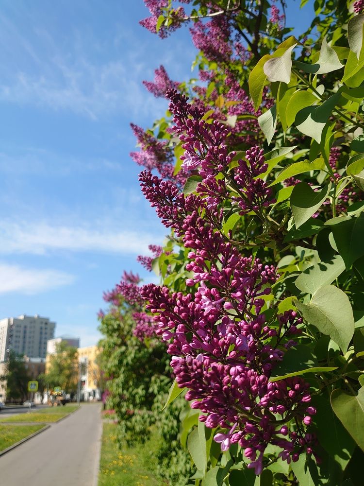 Photograph by Наталия Игоревна