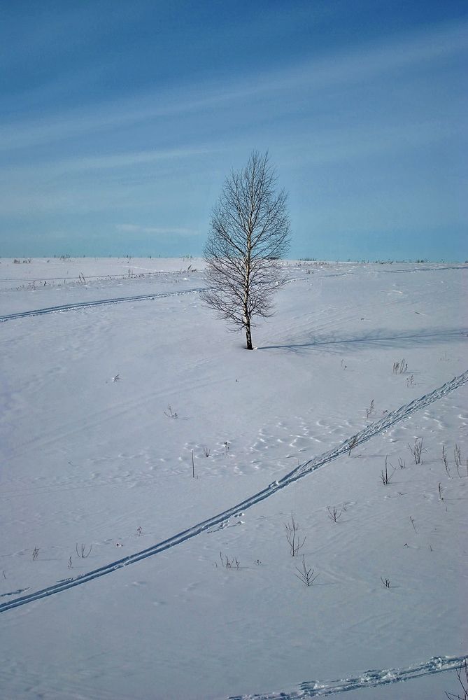 Photograph by Юлия Орлова