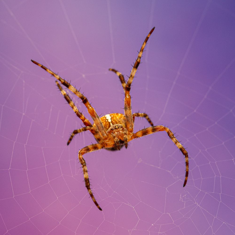 Photograph by Дмитрий Константинов