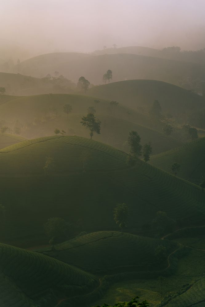 Photograph by Анастасия Сауль