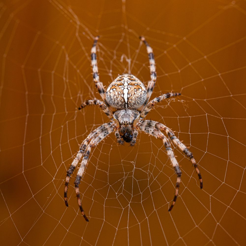 Photograph by Дмитрий Константинов