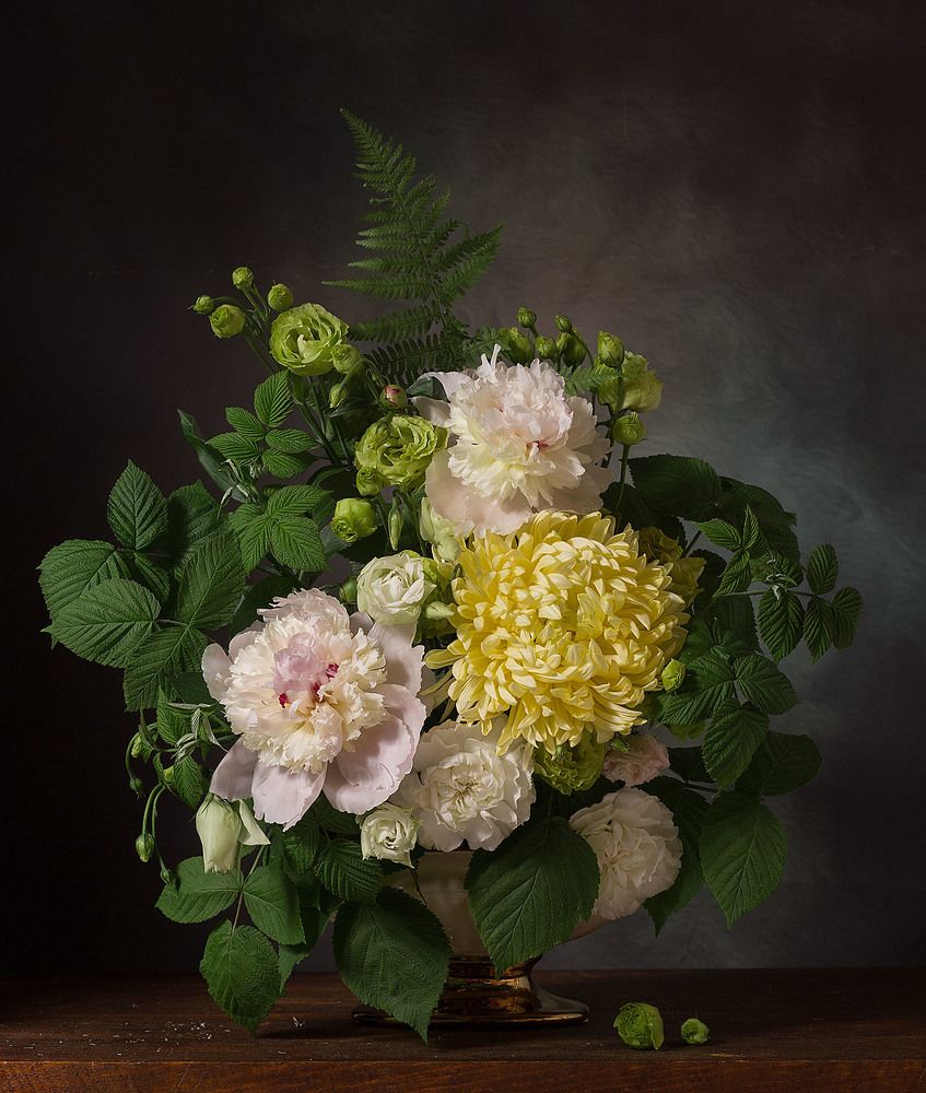 Фотография автора Алина Ланкина