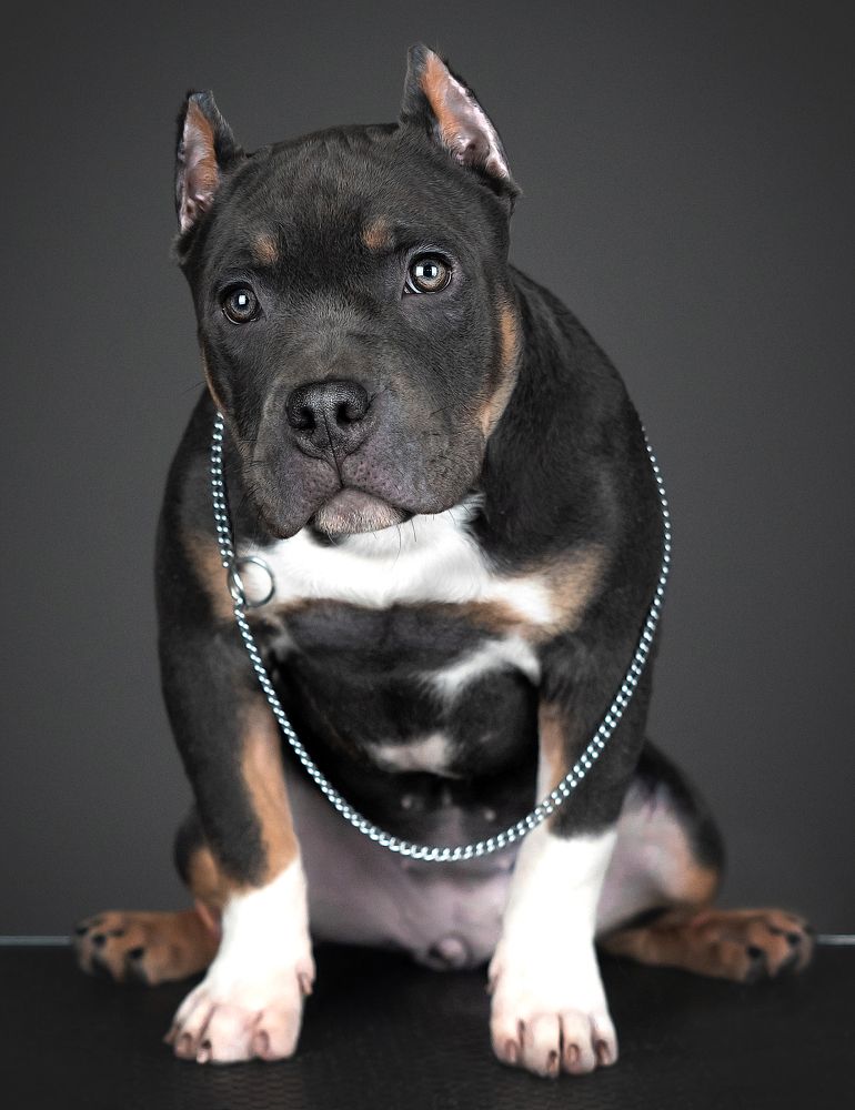 Photograph by Виктория Фоминых