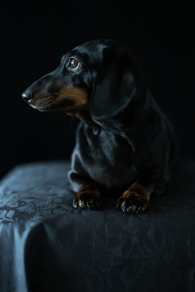 Фотография автора Aleksandra Hruscova