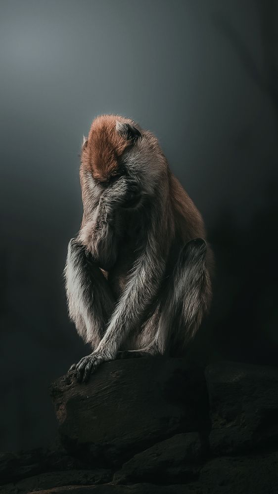 Photograph by  Shady