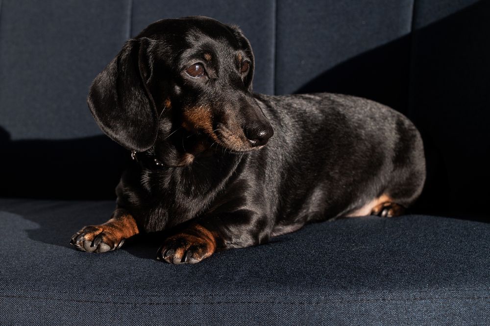 Фотография автора Aleksandra Hruscova