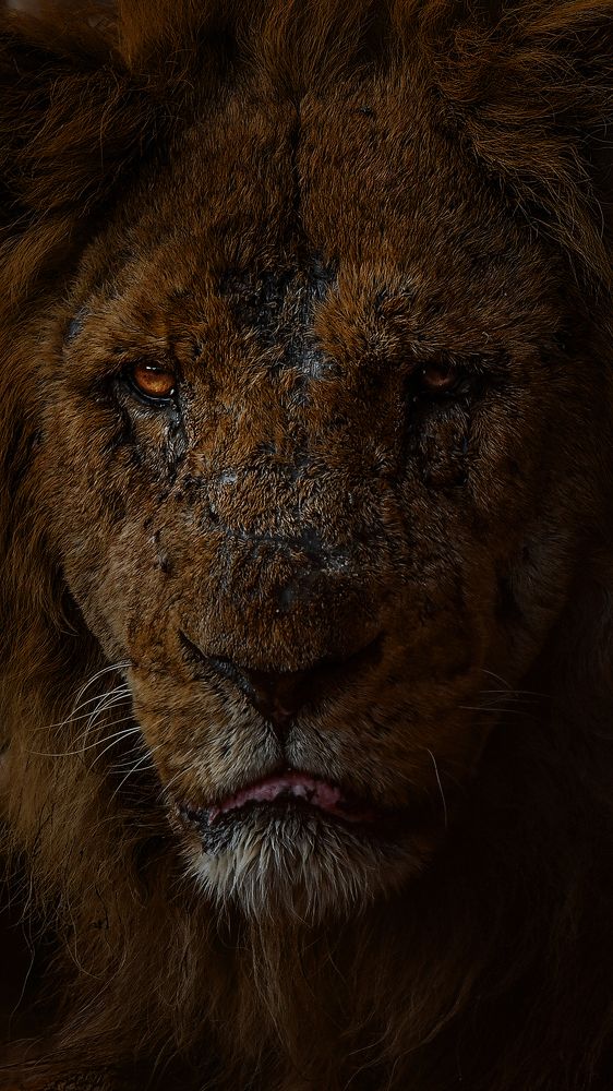 Photograph by  Shady