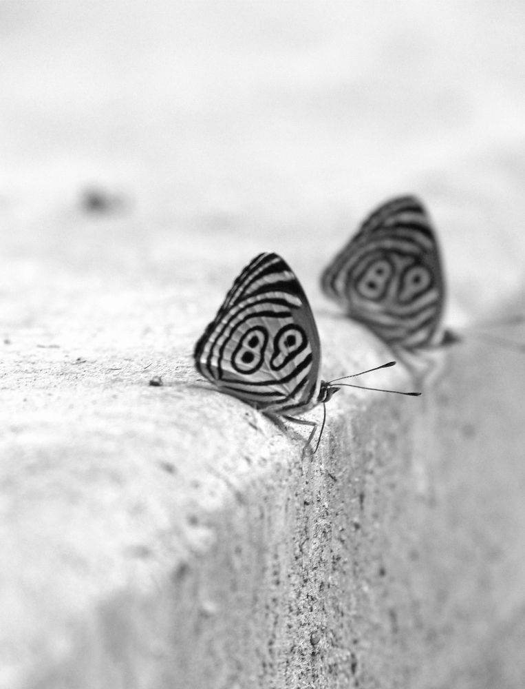 Photograph by GLEYDA GUTIÉREZ