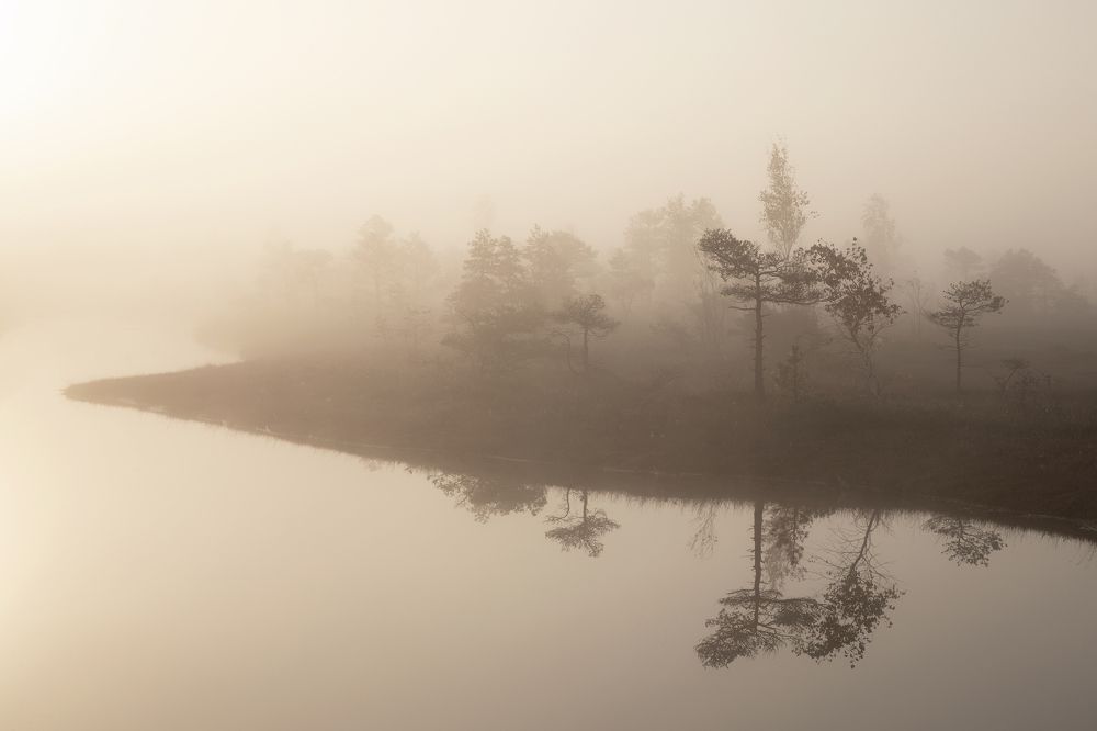 Фотография автора Aleksandra Hruscova