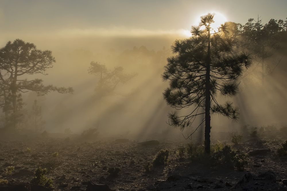 Фотография автора Aleksandra Hruscova