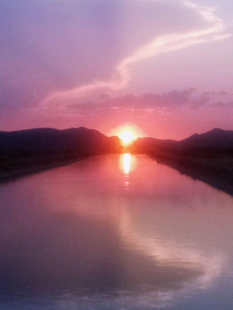 Photograph by Christina Tarpley