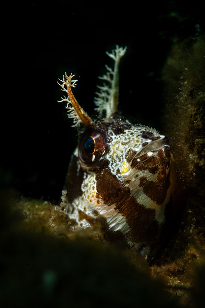 Photograph by Magali Marquez