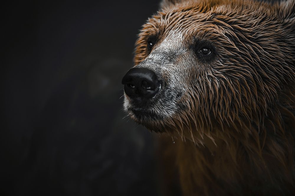 Photograph by  Shady