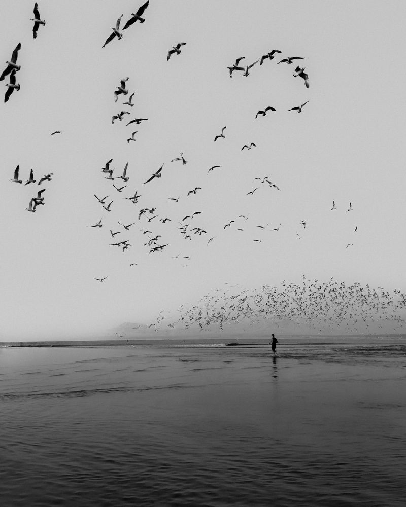 Photograph by Sebastiam