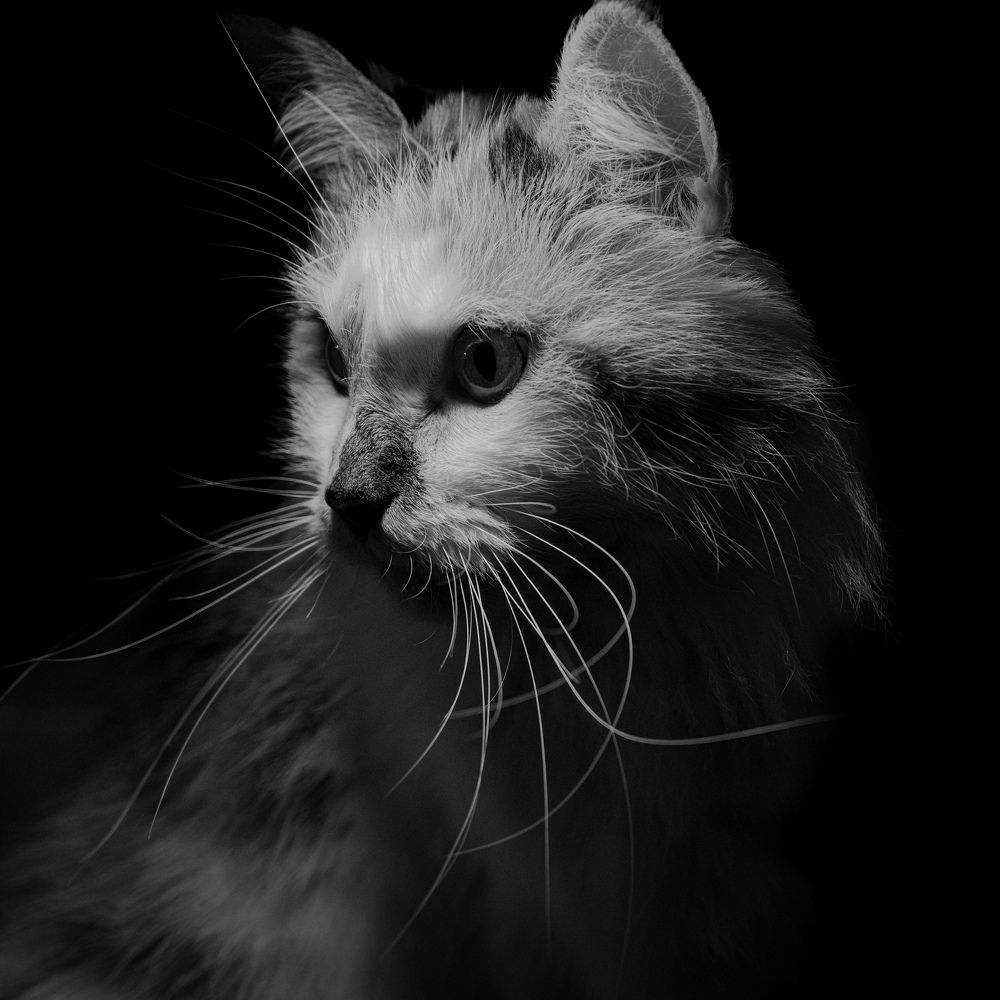 Photograph by Wiese Michael