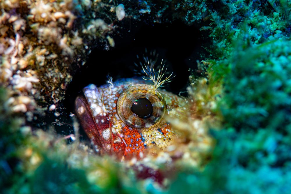 Photograph by Magali Marquez