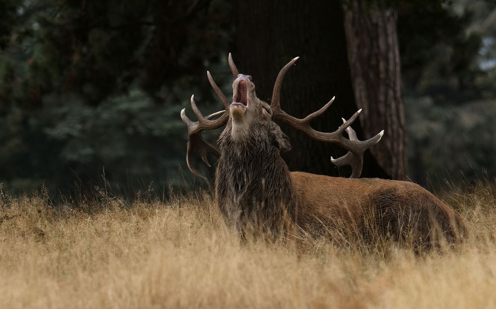Фотография автора Kowalski Jaroslaw