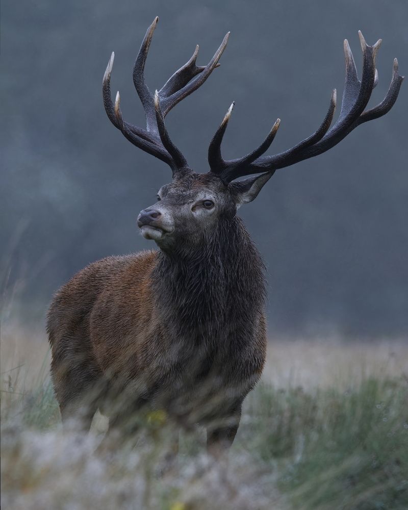 Фотография автора Kowalski Jaroslaw