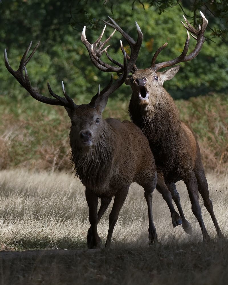 Фотография автора Kowalski Jaroslaw