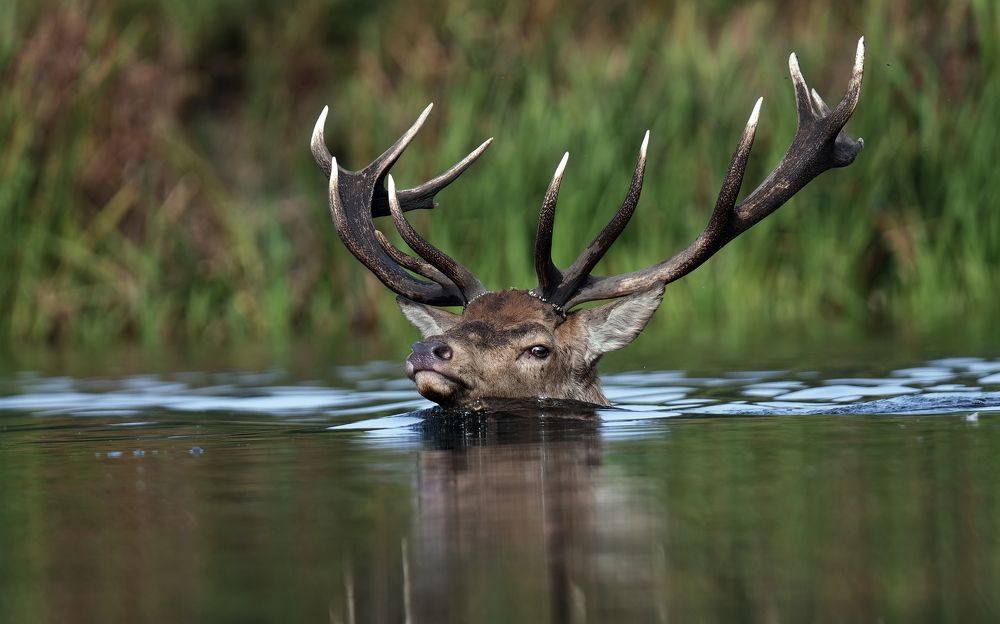 Фотография автора Kowalski Jaroslaw