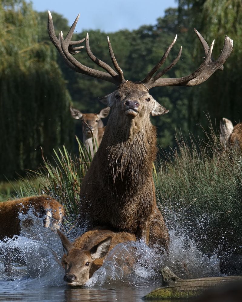 Фотография автора Kowalski Jaroslaw