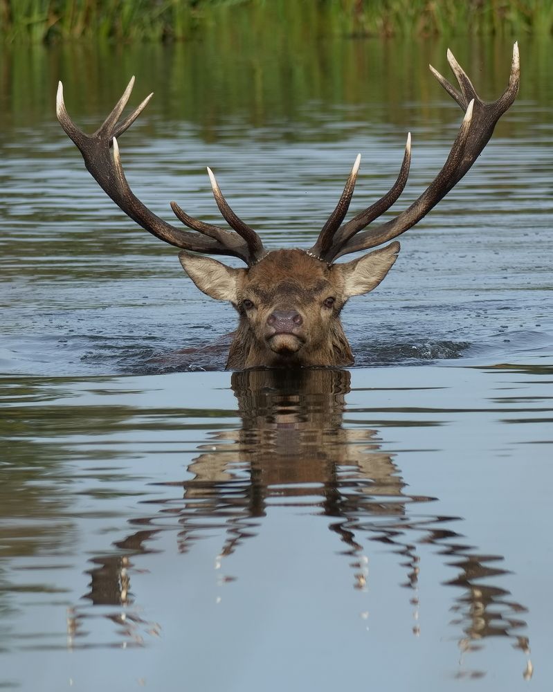 Фотография автора Kowalski Jaroslaw