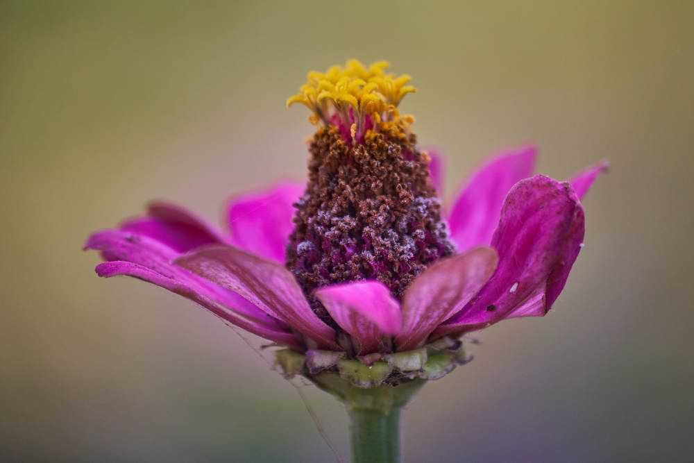 Photograph by Дмитрий Солодухин