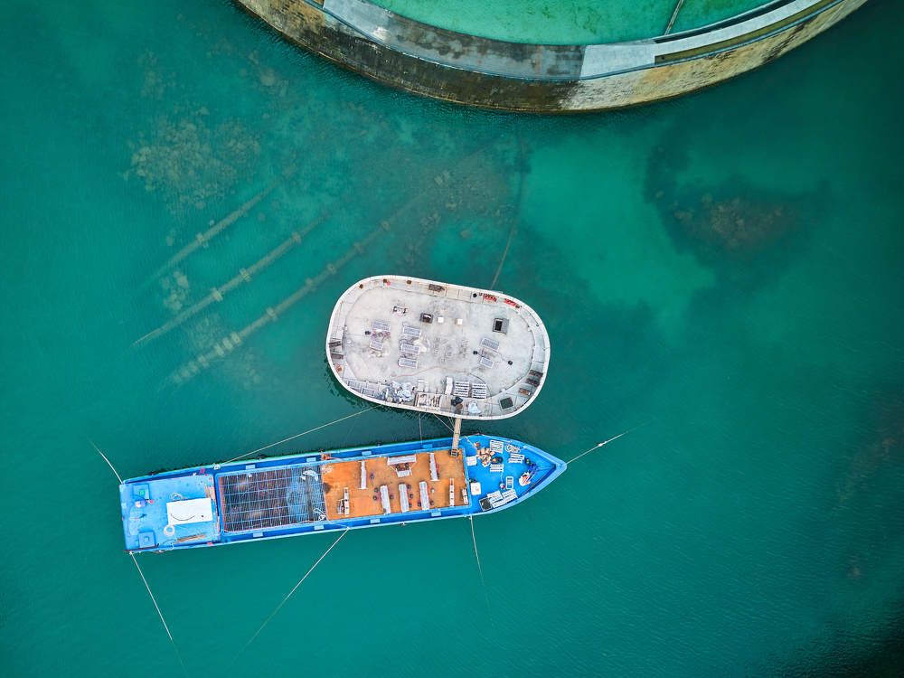 Photograph by Дмитрий Солодухин