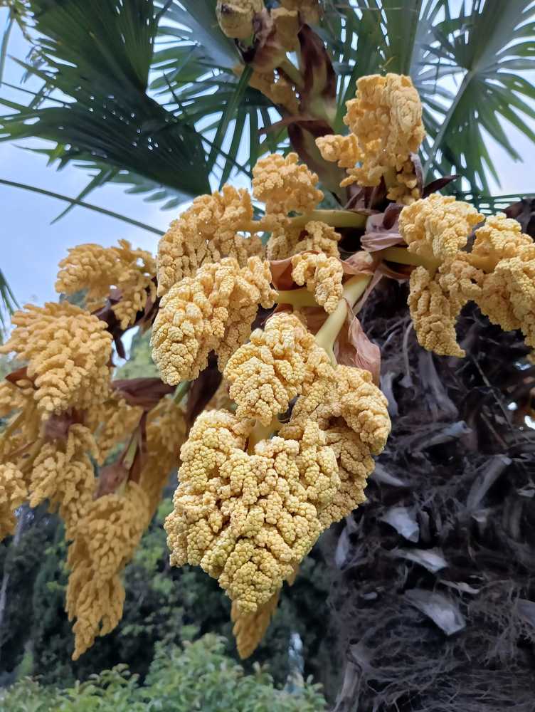 Photograph by Лилия Потравнова