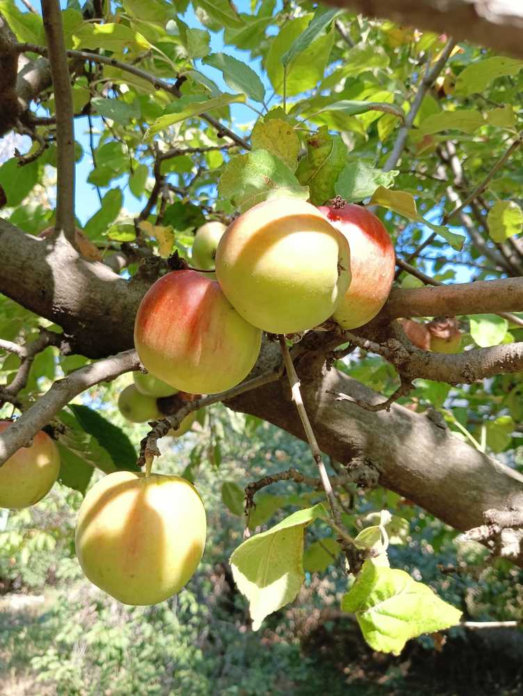 Photograph by Лилия Потравнова