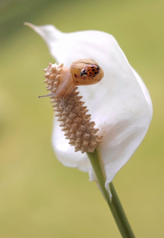 Photograph by Малика Маткарим