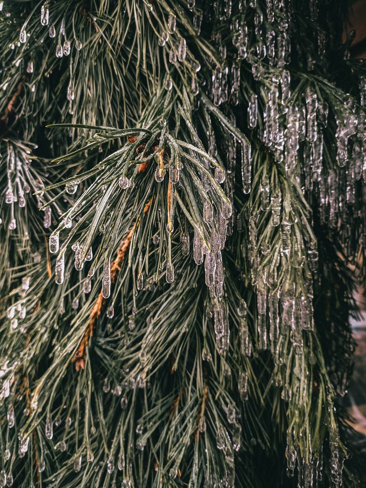 Photograph by Юлия Гашева