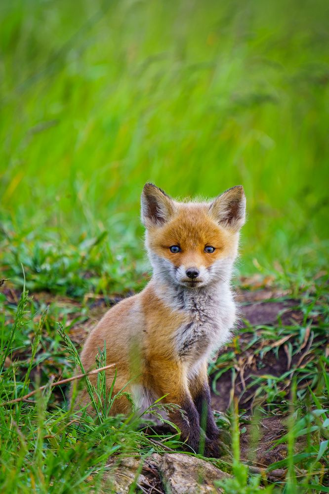 Photograph by Барабанов Алексей