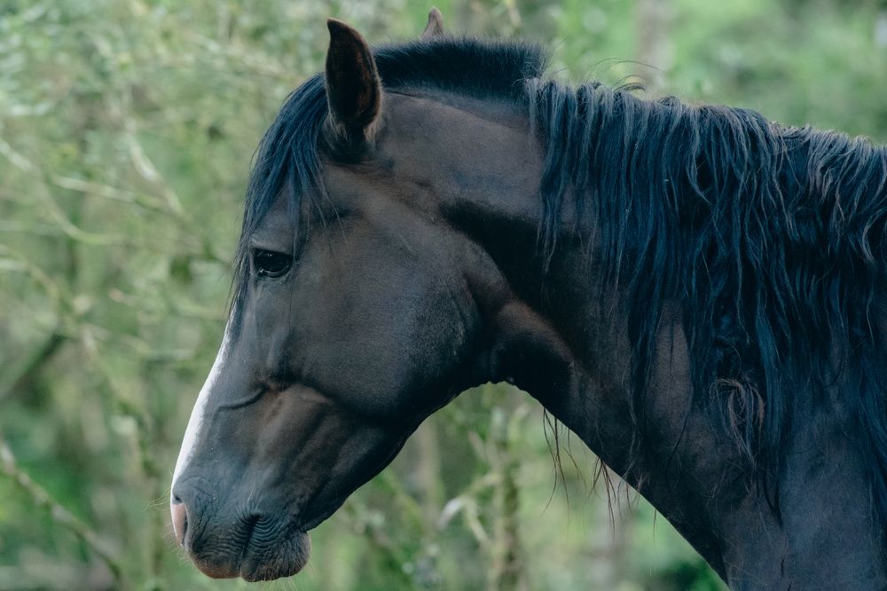 Photograph by Valmir Fernando da Silva