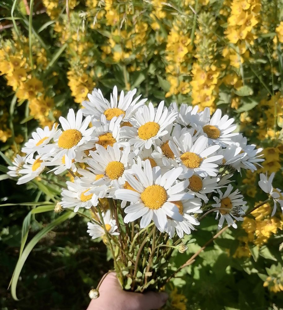 Photograph by Татьяна Бешенкина