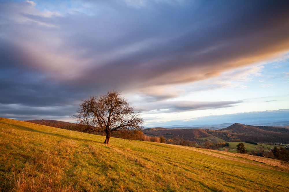 Photograph by Mirosław Pruchnicki