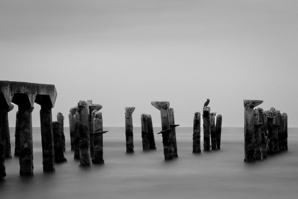 Photograph by pezhman taheri lisar