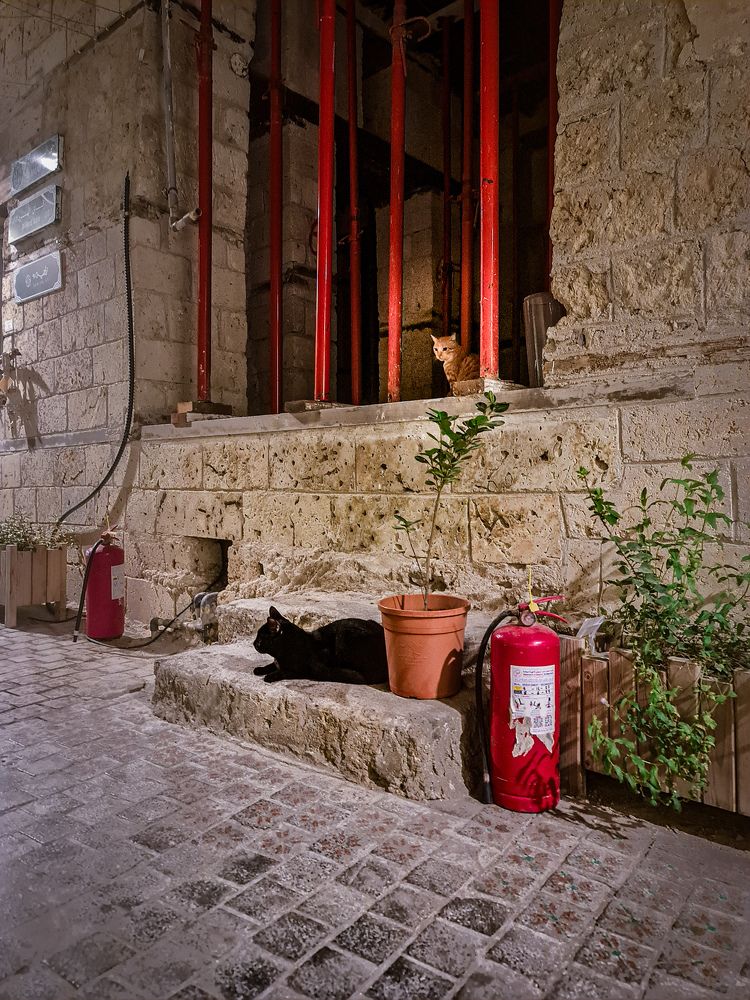 Photograph by Asmaa ELTouny