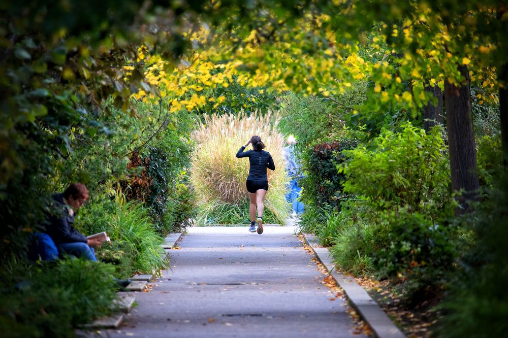 Фотография автора Raffi Bashlian