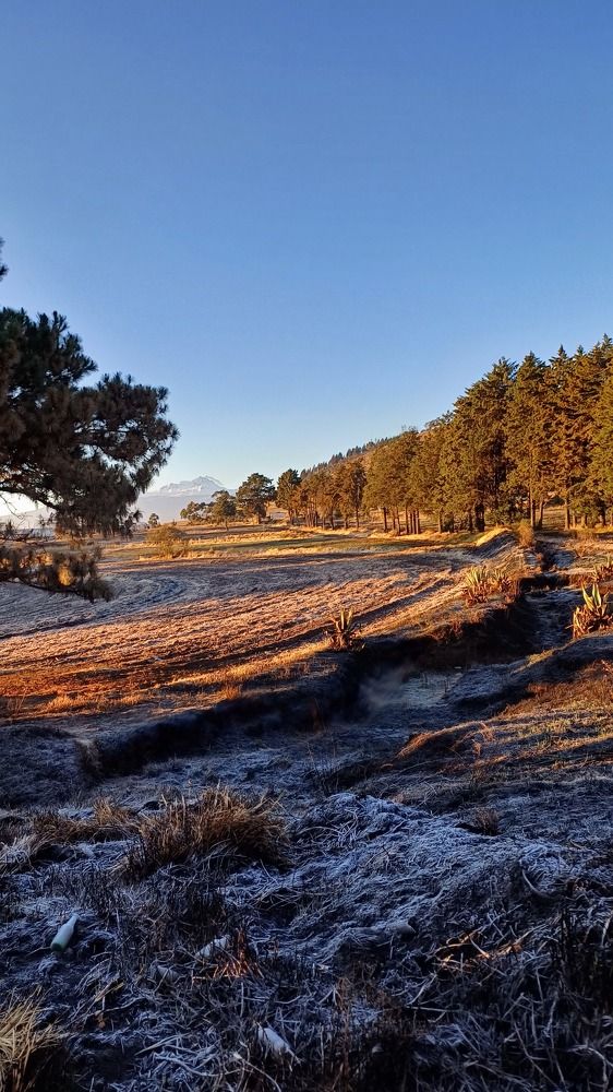 Photo #10408376