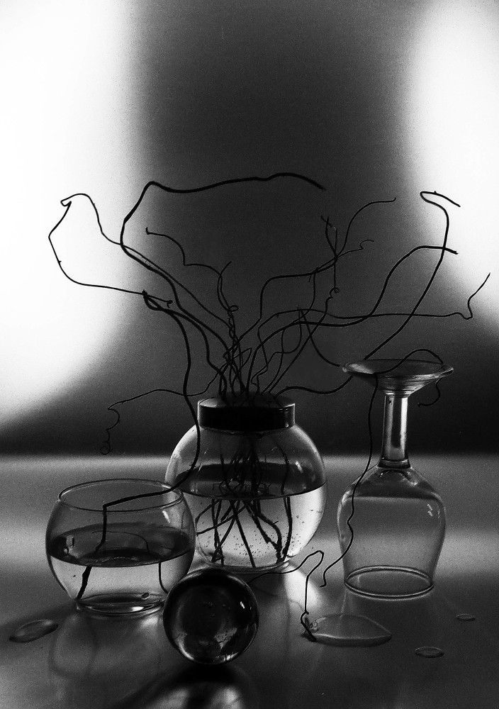 Photo #10408582