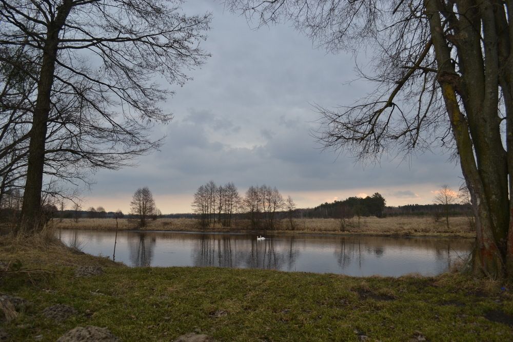 Photograph by Алексей Гапеев