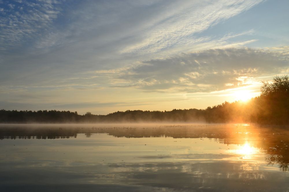 Photograph by Алексей Гапеев
