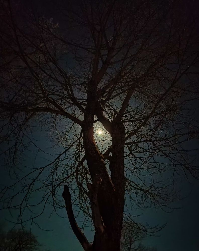 Photograph by Максим