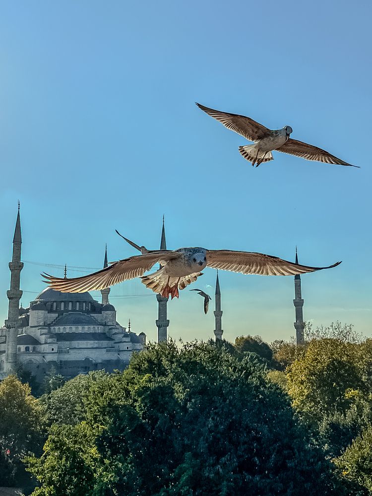 Photograph by Максим Яцушко