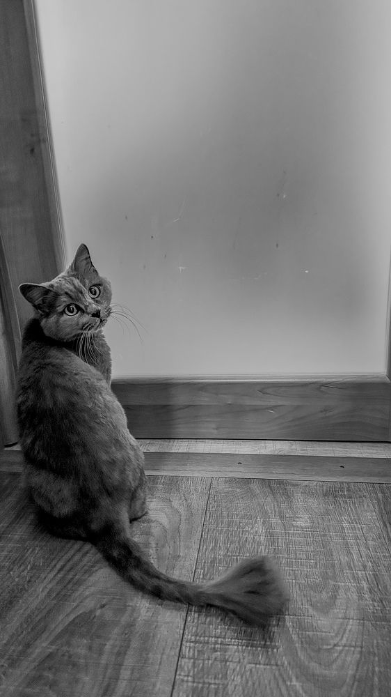 Photograph by Максим Яцушко