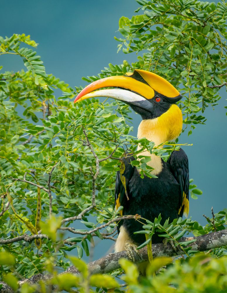 Фотография автора Grace Rani